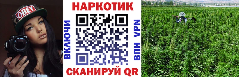 Купить наркотики цена Томмот ГАШ Cocaine Alpha-PVP Псилоцибиновые грибы Меф