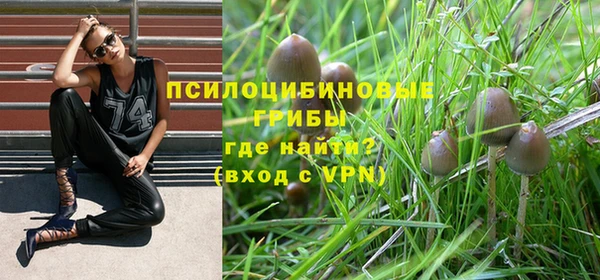 стаф Майский