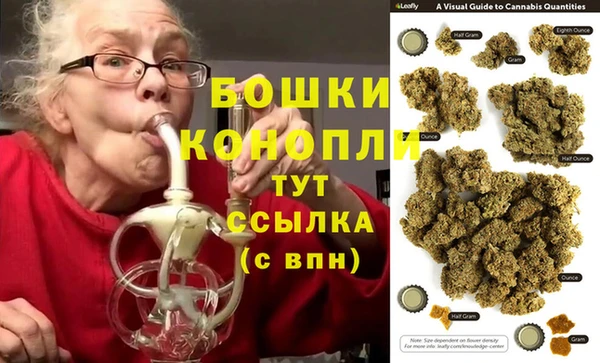 стаф Майский
