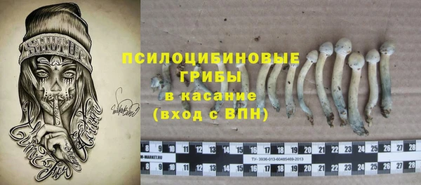 стаф Майский