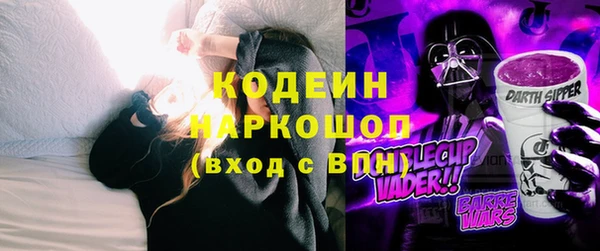 индика Аша